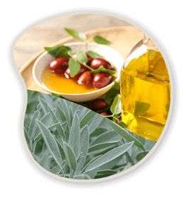 Jojoba Seed Oil & Sage Leaf Extract