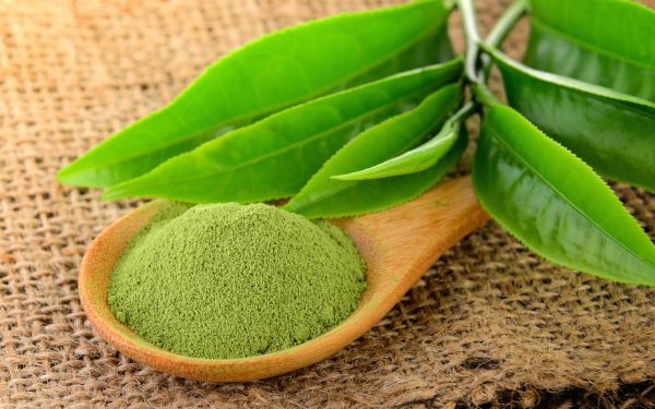 Green Tea Extract